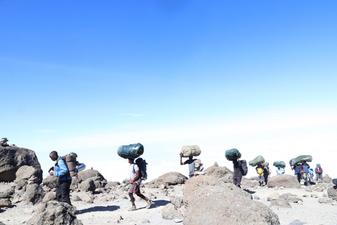 Kilimanjaro: Ga mee met tour 6-daagse Kili trip via Marangu Route