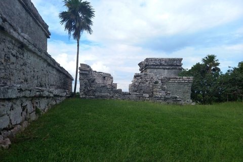 Quintana Roo: Tulum Ruins and Playa del Carmen's 5th Avenue