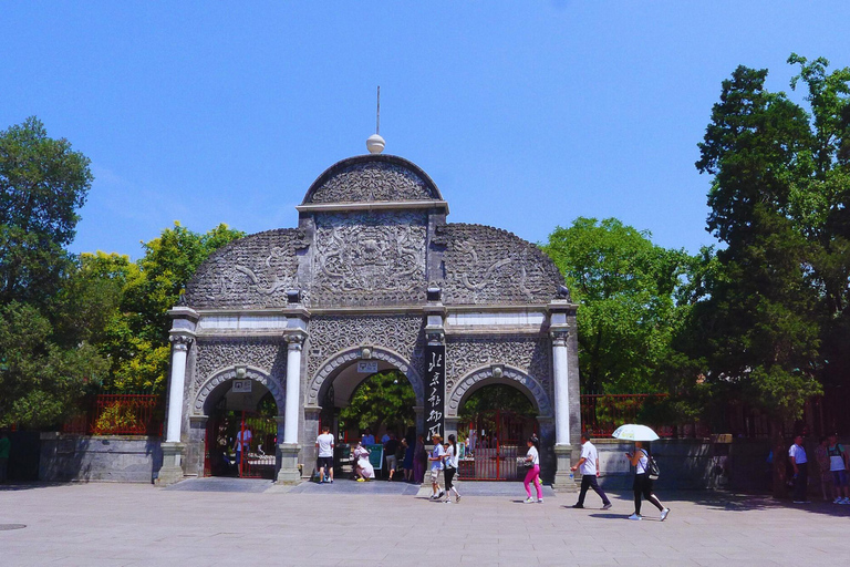 Beijing: Forbidden City & Panda Zoo Private Tour Beijing Panda Zoo （only ticket，not tour）