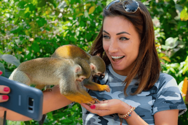 Punta Cana: Monkey Land Tour Adventure