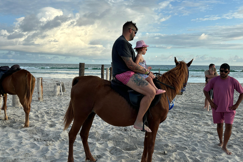 Salalah: Paseo a Caballo por la Playa con Recogida en el Hotel60 minutos de equitación en la playa