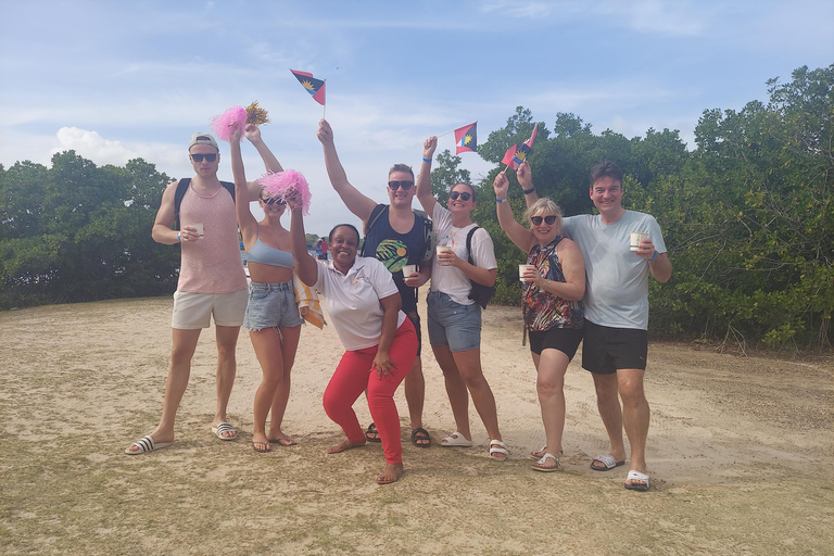 St.John's, Antigua: Stingray City & Long Bay Shore Excursion