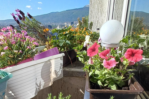 Sofia: 1980s Communism-Era Lunch with Local Host