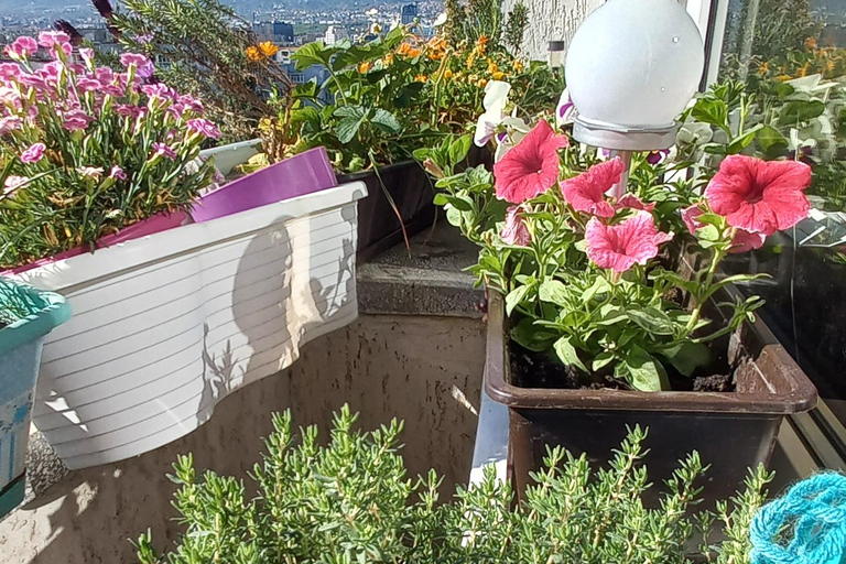 Sofia: 1980s Communism-Era Lunch with Local Host