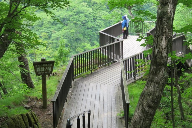 Porte de Nikko de luxe ; visite guidée privée