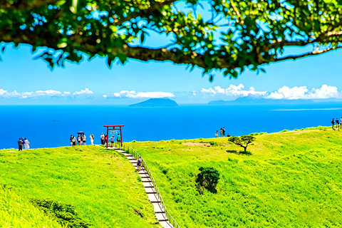 Small Group Day Tour:Omuro Mountain & the Izu Scenic Railway Hotel Transfer Option