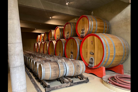 Casablanca: esperienza privata di un&#039;intera giornata all&#039;insegna del benessereCasablanca: un&#039;esperienza privata di un giorno intero all&#039;insegna del relax