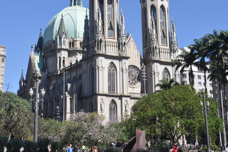 Six-Hour City Tour of São Paulo