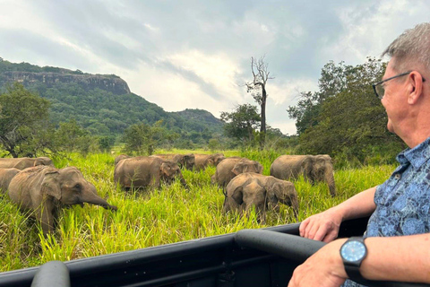 Sigiriya Rock, Elephant Safari & Ayurvedic Massage Day Trip