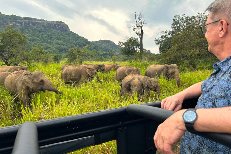 Sigiriya Rock, Elephant Safari & Ayurvedic Massage Day Trip