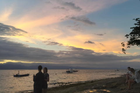 Cebu: 2-Day Private Tour Moalboal and Oslob