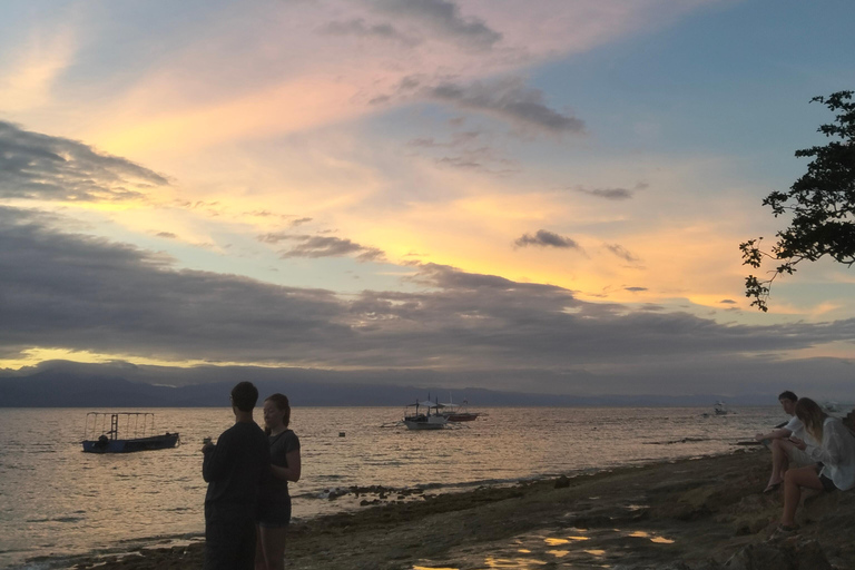 Cebu: 2-Day Private Tour Moalboal and Oslob