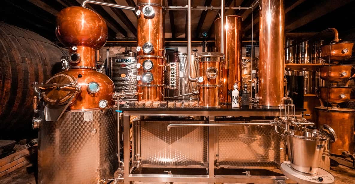 Afbeelding 3 van Buzet: Rondleiding door de familiedistilleerderij Aura met proeverij en hapjes