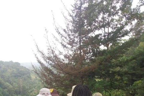 Moshi: Guided Waterfall Hike with Local Stories