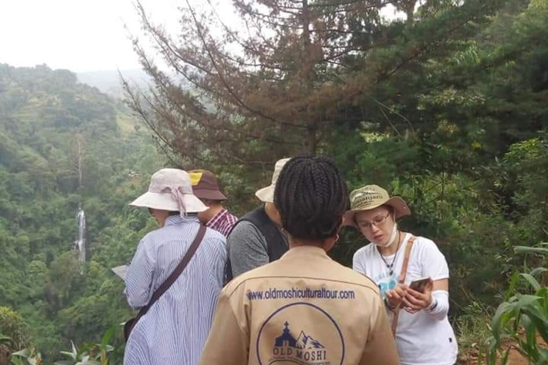 Moshi: Guided Waterfall Hike with Local Stories