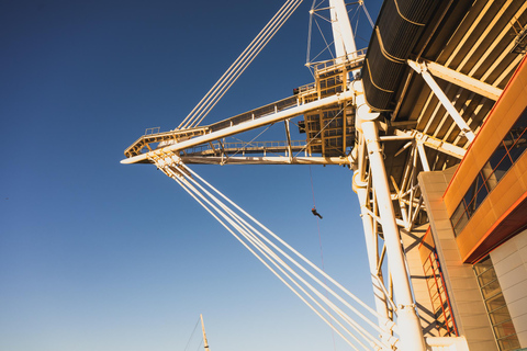 Cardiff: Principality Stadium Abseiling Adult or Child