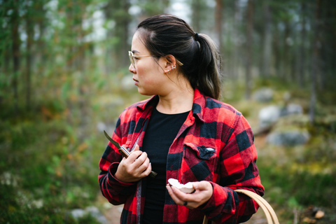 Rovaniemi: Arctic Wild Berry & Mushroom Foraging and Tasting