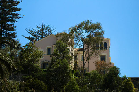 From Santiago: Full-Day Tour of Viña del Mar and Valparaiso