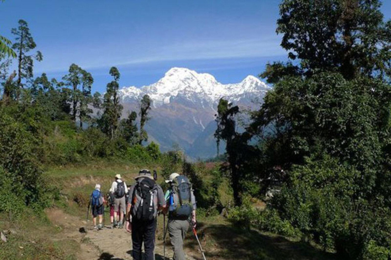 Pokhara: Annapurna Panorama Day Hike to Australian Camp