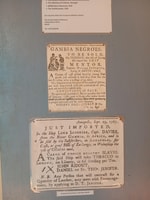 Roots tour /James Island - Housity