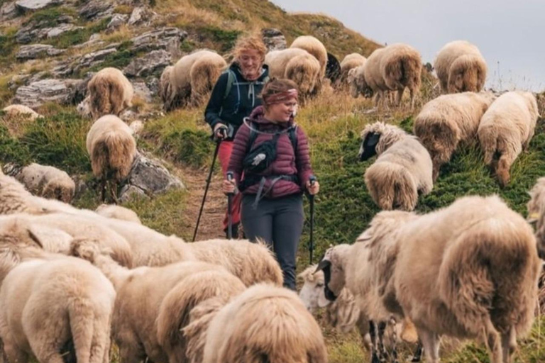 From Tirana: Valbona Valley and Prizren 2 Day Tour German-speaking