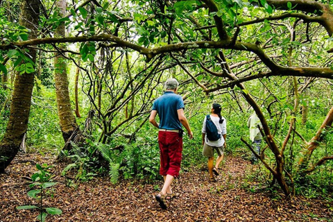 Zanzibar: tour di mezza giornata alla scoperta delle scimmie della foresta di Jozani