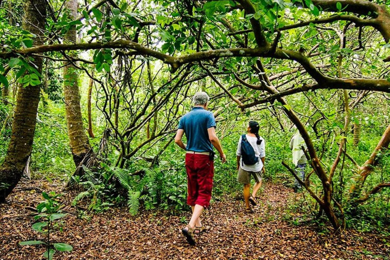 Zanzibar: tour di mezza giornata alla scoperta delle scimmie della foresta di Jozani