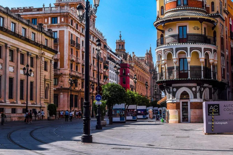 Malaga: Day trip to Seville with a visit to the Cathedral From Estepona: English Tour