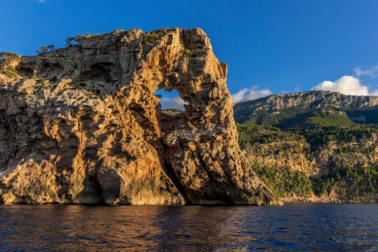 Mallorca: Puerto de Sóller and Valldemossa Morning Trip