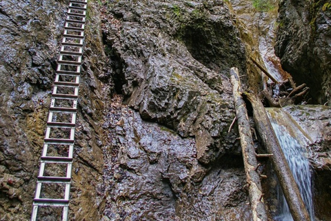 from Zakopane: Slovak Paradise National Park Guided Hike