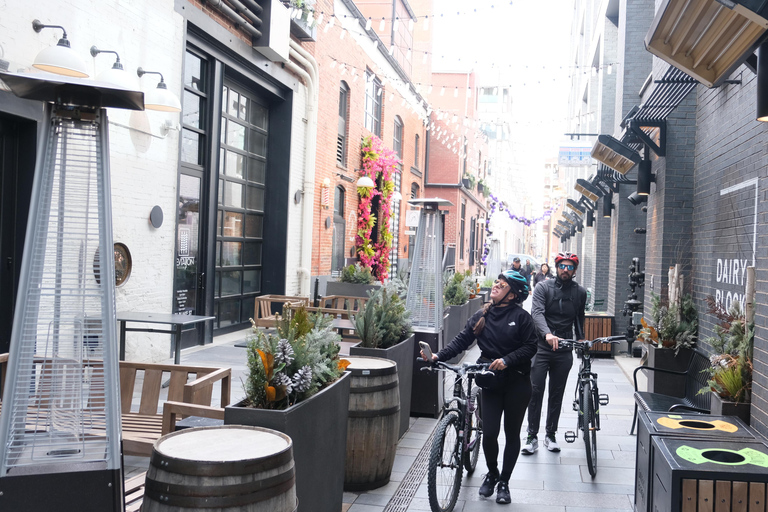 Tour in bicicletta e alcolici di RiNo e del centro città