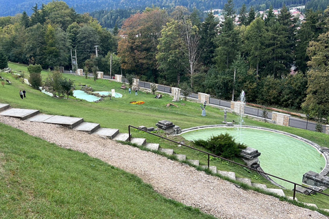 Bucharest: Brasov Old Town & Dracula's & Wednesday & Peles