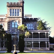 Dunedin: Guided Shore Excursion with Larnach Castle Tour Dunedin: Guided Shore Excursion with Larnach Castle Tour