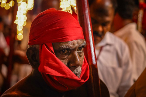 From Colombo: 2-Day Curated Kandy Esala Perahera Experience