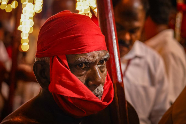 From Colombo: 2-Day Curated Kandy Esala Perahera Experience