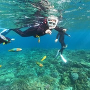 Okinawa: Boat Snorkeling at Minna, Sesoko or Motobu