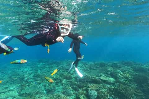 Okinawa: Boat Snorkeling at Minna, Sesoko or Motobu - Image 3
