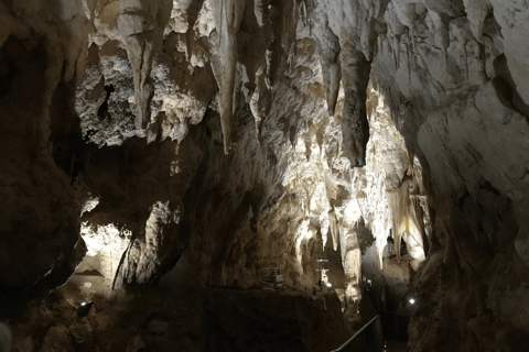 Private Day Tour: Waitomo Glowworms & Hobbiton Movie Set