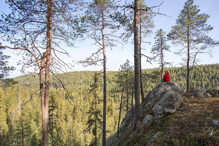 Sommerwanderung im Korouoma-Nationalpark