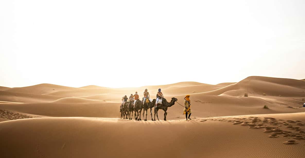 Private 3-Day Marrakech to Merzouga Desert Tour - Conclusion