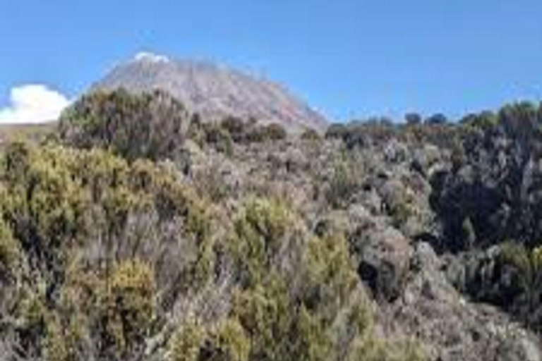 Kilimanjaro: 6-Day Trekking Umbwe Route