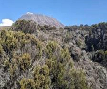 Moshi: tour guidato della scalata del Kilimanjaro sulla via Marangu