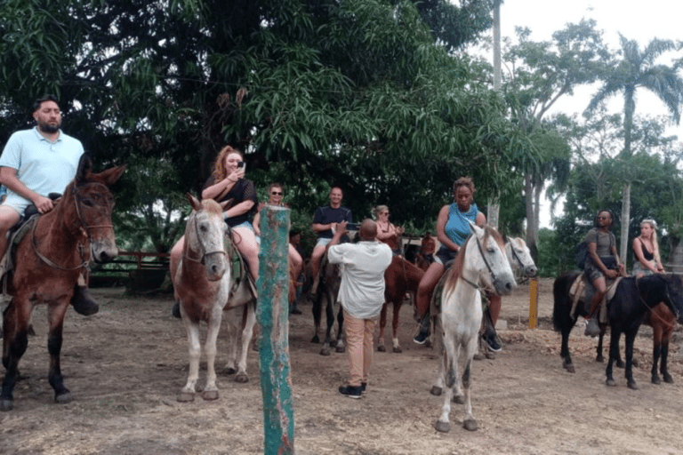 蓬塔卡纳：ATV探险与骑马之旅（含接送服务）