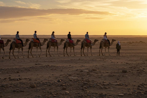 Marrakech: Agafay Wüste Quad &amp; Kamelreiten mit Dinner ShowMarrakesch: Quad- und Kamelritt in der Agafay-Wüste mit Dinner-Show