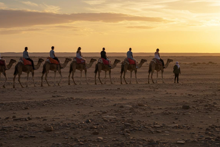 Marrakech: Agafay Wüste Quad &amp; Kamelreiten mit Dinner ShowMarrakesch: Quad- und Kamelritt in der Agafay-Wüste mit Dinner-Show