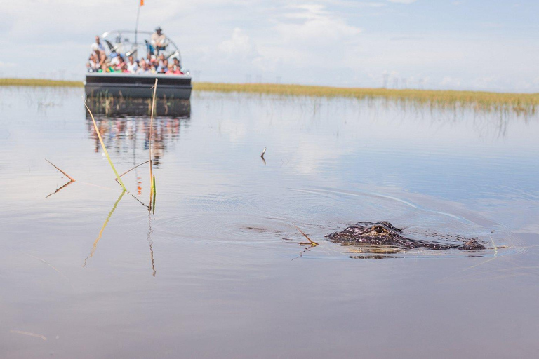 Miami Combo: Everglades Adventure and Sightseeing Tour Combo - Downtown Miami pickup