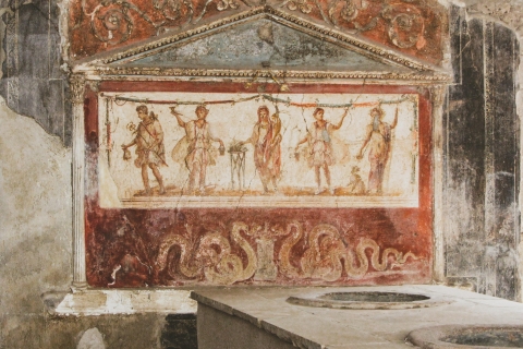 Pompeya y el Vesubio Privado