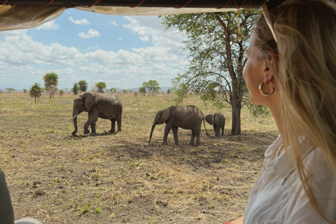 From Zanzibar: 1-Day Selous Safari with Flight & Lunch Selous Safari from Zanzibar – Without Transfer