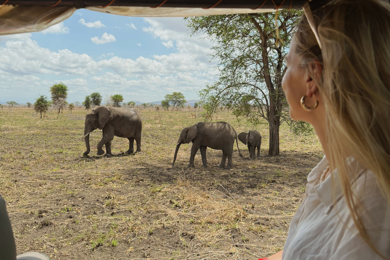 From Zanzibar: 1-Day Selous Safari with Flight & Lunch Selous Safari from Zanzibar – Without Transfer