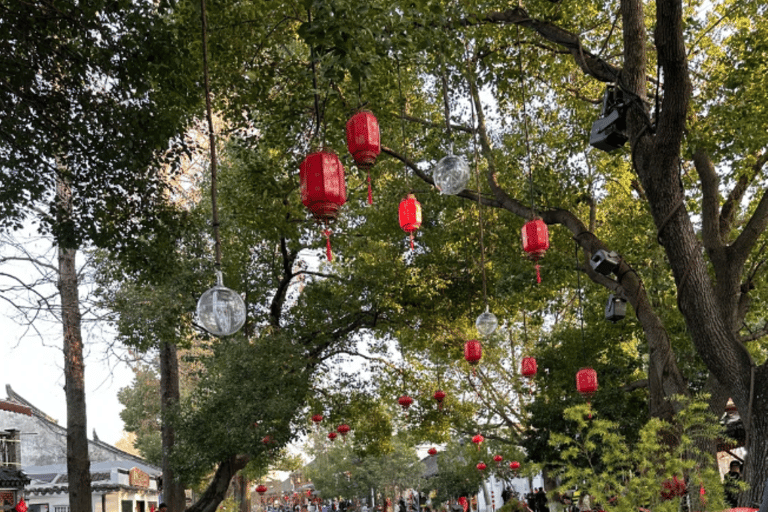 Shanghai: Zhujiajiao Private Tour+Yu Garden/Film Park